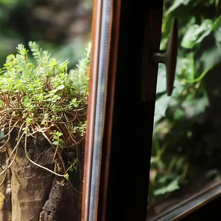 Rustic Hidden Apartment